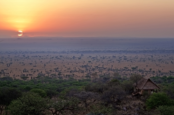 Pioneer Camp Serengeti_WEBB